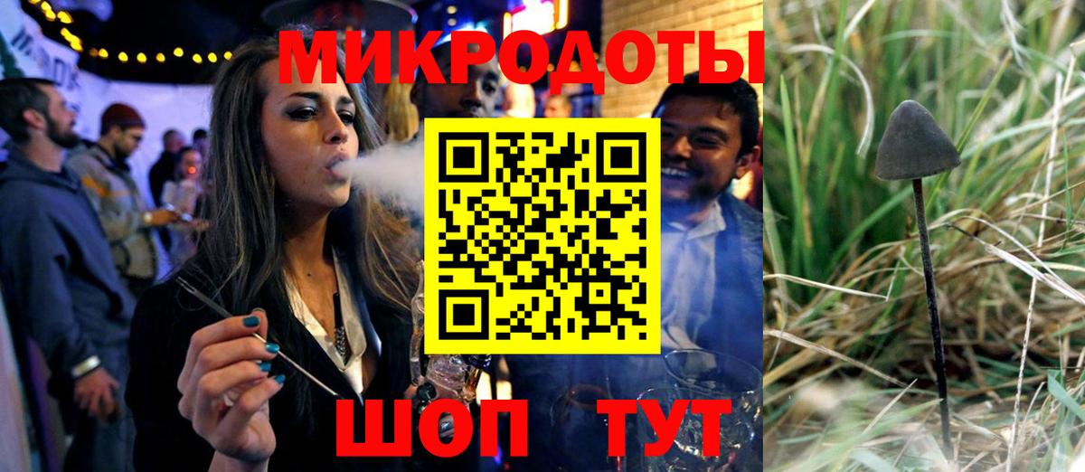 Советск  Псилоцибиновые грибы прущие грибы  Псилоцибиновые грибы мицелий  Вход с VPN 